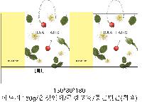 ���� �μ� ������Ʈ | ���̼��ι�_��������ܰ� 245x70x280mm