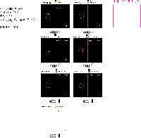 ���̾ ��ø ��Ʈ | ������_������Ʈ�ڸ���