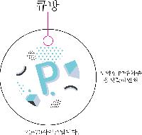 �μ� �þ� �̹��� 33007