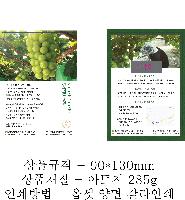 �μ� �þ� �̹��� 33125