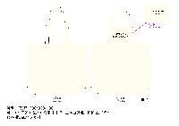 ���� �м� �̿� Ű�� | �ֹ����۰����� ���ڹ� ���� 390x110x400mm