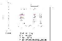 �ڽ� ��Ű�� | Į��ڽ�_�ۿ�3 335X240X75mm