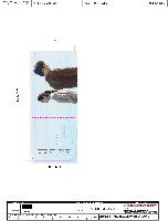 �μ� �þ� �̹��� 37160