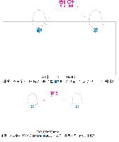 ���� �μ� ������Ʈ | ���̼��ι�_�������б� 220x70x220mm