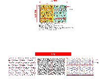 ���� ������ǰ | �޴�� ����Ʈ �μ������ 9ȣ 5P 100*36*10mm