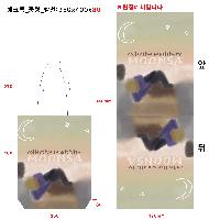 ���� �м� �̿� Ű�� | ���� �ֹ������� ���ڹ� �� �ڽ��� 350x400mm