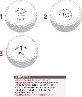 ���� ���� ���� ���� | Ÿ��Ʋ����Ʈ PRO V1X 12����Ʈ