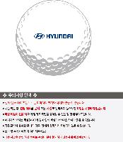 ���� ���� ���� ���� | Ÿ��Ʋ����Ʈ PRO V1 12����Ʈ