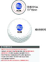 ���� ���� ���� ���� | Ÿ��Ʋ����Ʈ PRO V1x 6����Ʈ