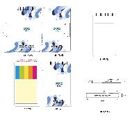 ���̾ ��ø ��Ʈ | ����Ʈ��_�ٿ뵵��ø