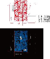 �μ� �þ� �̹��� 44286