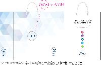 ���� �μ� ������Ʈ | ���̼��ι�_���ֽð������� 220x110x260mm