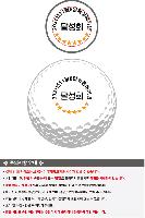 ���� ���� ���� ���� | Ÿ��Ʋ����Ʈ PRO V1 12����Ʈ