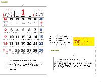 �������˹� | 2026�� 2�� ���� 100�����޸��� �� �޷� Ķ���� 495*720mm ǰ��