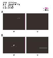 �μ� �þ� �̹��� 45081