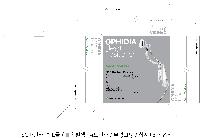 �ڽ� ��Ű�� | Į�� ���� �ڽ� 300*250*50mm