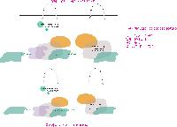 ���ι� | ���̼��ι�_����Ȱ� 260x100x260mm