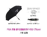 ���� ��� ��� ��Ȱ | PGA �ڵ� �����������̾��� 75cm