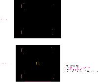 �μ� �þ� �̹��� 49009