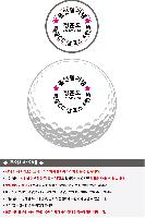 ������ǰ | Ÿ��Ʋ����Ʈ PRO V1 12����Ʈ