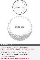 ���� ���� ���� ���� | Ÿ��Ʋ����Ʈ PRO V1 12����Ʈ