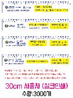 ������ǰ | 30cm ������ ��ũ�μ�