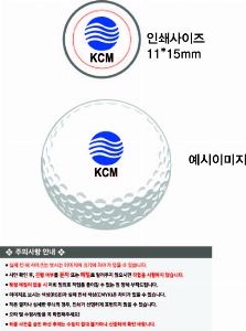 ���� ���� ���� ���� | Ÿ��Ʋ����Ʈ PRO V1x 6����Ʈ