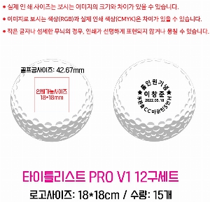 ���� ���� ���� ���� | Ÿ��Ʋ����Ʈ PRO V1 12����Ʈ