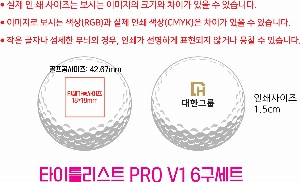 ���� ���� ���� ���� | Ÿ��Ʋ����Ʈ PRO V1 6����Ʈ 45X95X135mm