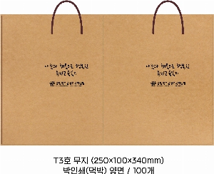 ���ι� | T3ȣ ���� 250x100x340mm 1����:100��