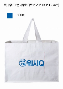 ���ι� | Ư����Ÿ��������ȭ��Ʈ 520x350x380mm