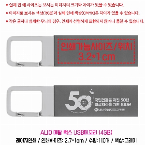 USB ������ ���� | ALIO ��Ż ���� USB�޸� 4GB-128GB ǰ��