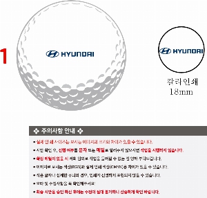 ���� ���� ���� ���� | Ÿ��Ʋ����Ʈ PRO V1 12����Ʈ