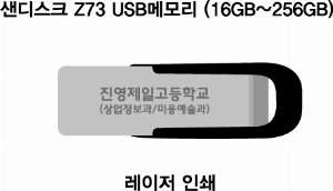 USB�޸� | ����ũ Z73 USB�޸� 32GB~256GB