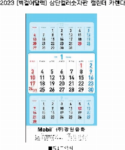 �������˹� | [�����̴޷�] ����÷������� Ķ���� ī���� 380*690mm ǰ��