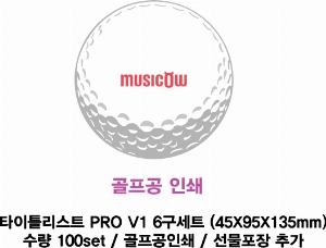 ������ǰ | Ÿ��Ʋ����Ʈ PRO V1 6����Ʈ 45X95X135mm