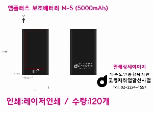 �������͸� | ���÷��� �������͸� M-5 5000mAh