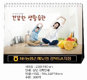 �������˹� | �Ϲ��� 04 ���� �Ϸ絵 ȨƮ Ź��ī���� 250*190mm ǰ��