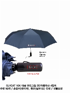 ���� ��� ��� ��Ȱ | OLYCAT 10K ���� ���׸� 3���ڵ���� 4�÷�