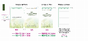 ���̾ ��ø ��Ʈ | ����� �������޸��� ���ɼ�ø