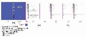 ���̾ ��ø ��Ʈ | �ιٸ� ������ ��Ʈ FunN 150*210mm