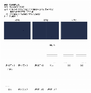 ���̾ ��ø ��Ʈ | ����������Ʈ PWC 155*215mm