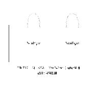 ���ι� | ���� T3ȣ ȭ��Ʈ 250��100��340mm 1����:50��