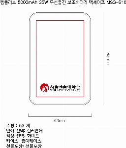 �������͸� | ���÷��� 5000mAh 35W �������� �������͸� �Ƽ����� MSQ-610