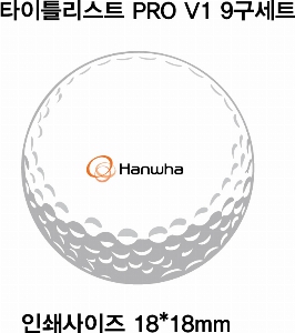 ���� ���� ���� ���� | Ÿ��Ʋ����Ʈ PRO V1 9����Ʈ