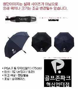 ���� ��� ��� ��Ȱ | PGA �ڵ� ���� 2Į�� 75cm