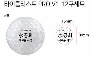 ���� ���� ���� ���� | Ÿ��Ʋ����Ʈ PRO V1 12����Ʈ