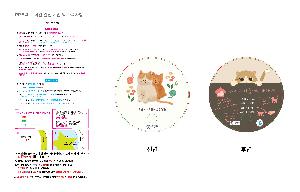 �������˹� | �ձ��̺�ä 190x190mm