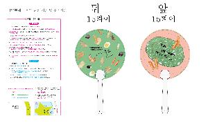 �������˹� | ���� �ҽ� 2�÷� ��ä 150∅~190∅