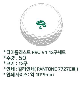 ���� ���� ���� ���� | Ÿ��Ʋ����Ʈ PRO V1 12����Ʈ
